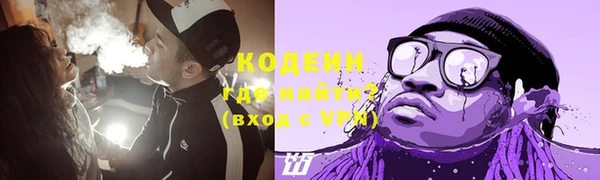прущие грибы Балабаново