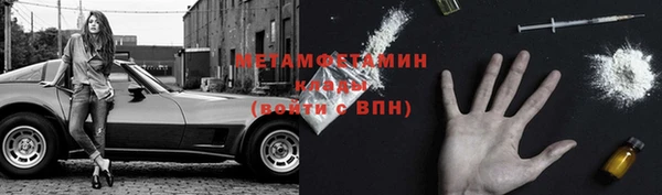 прущие грибы Балабаново