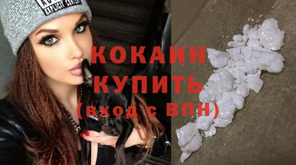 прущие грибы Балабаново