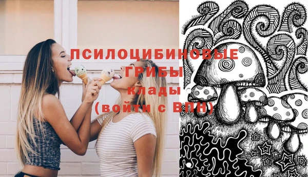 ECSTASY Балахна