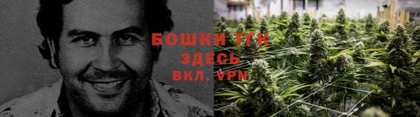 ECSTASY Баксан
