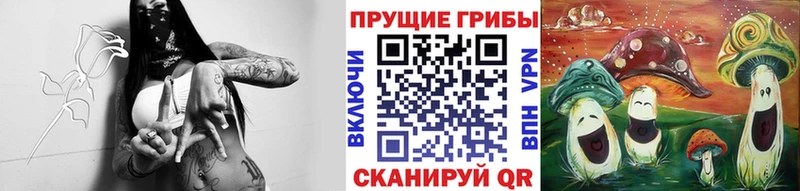 ОМГ ОМГ зеркало  Городовиковск  Псилоцибиновые грибы Psilocybine cubensis 